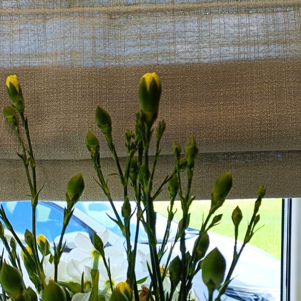 roleta rzymska w beżowym odcieniu | Bagdad Nowy Sącz roleta rzymska w beżowym odcieniu | Bagdad Nowy Sącz