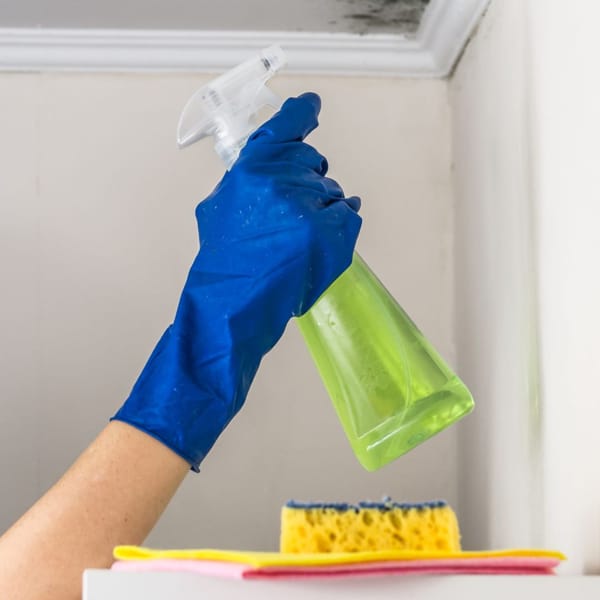 czyszczenie zabrudzen po wilgoci czyszczenie zabrudzeń po wilgoci